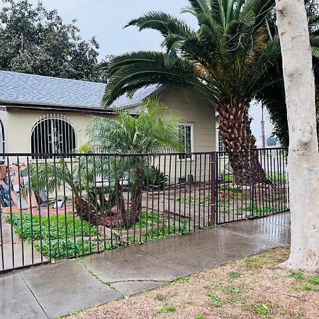 House Downtown Oc Santa Ana Vandrehjem Eksteriør billede